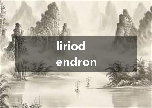 liriodendron是什么意思