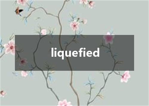 liquefied是什么意思