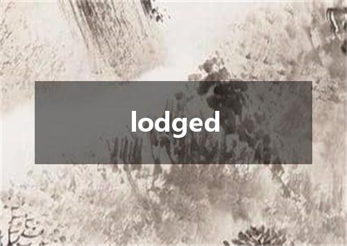 lodged是什么意思