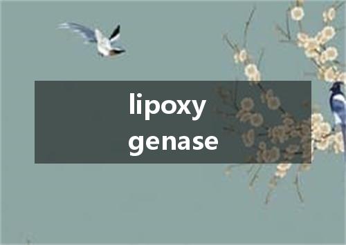 lipoxygenase是什么意思