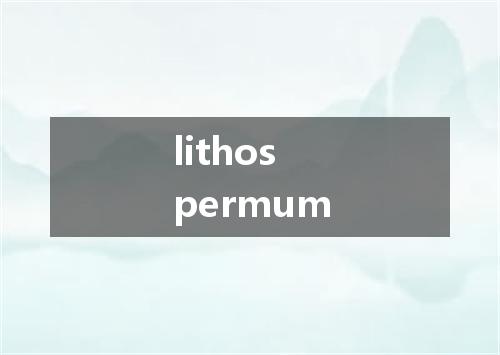 lithospermum是什么意思