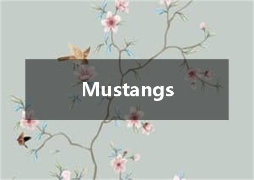 Mustangs是什么意思