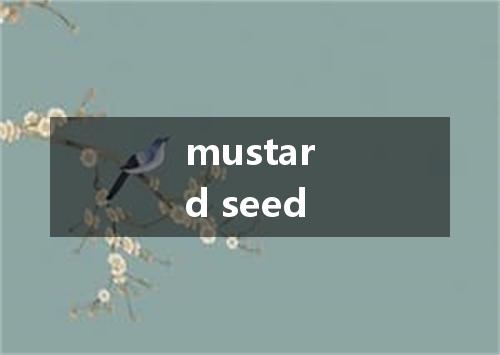 mustard seed是什么意思
