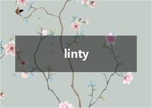 linty是什么意思
