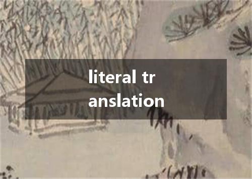 literal translation是什么意思