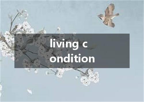 living condition是什么意思