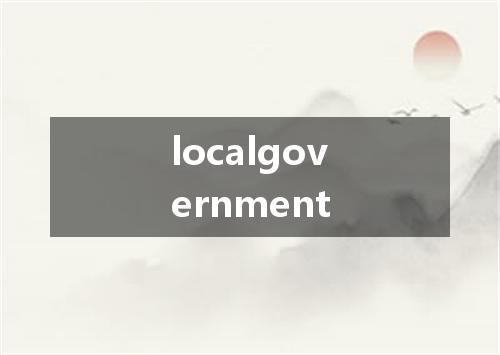 localgovernment是什么意思