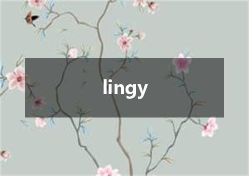 lingy是什么意思