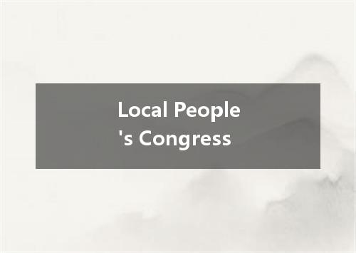 Local People's Congress是什么意思