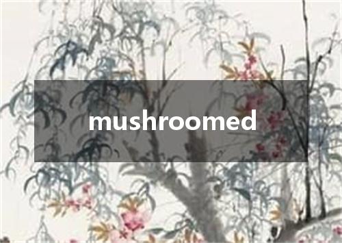 mushroomed是什么意思