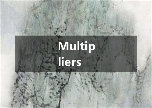 Multipliers是什么意思