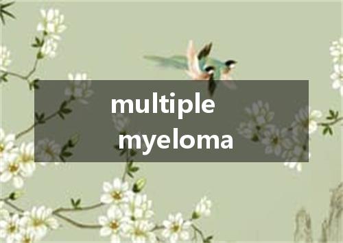 multiple myeloma是什么意思