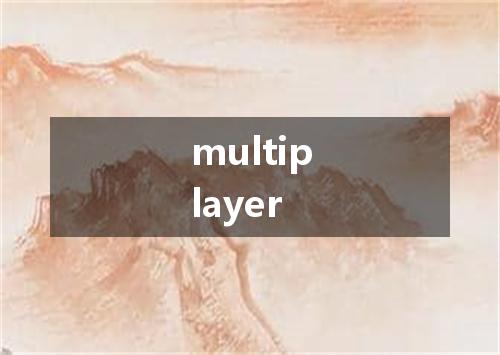 multiplayer是什么意思