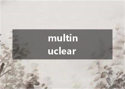 multinuclear是什么意思