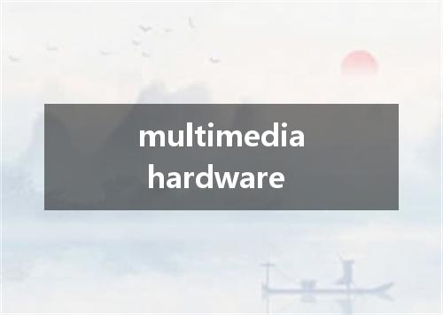 multimedia hardware是什么意思