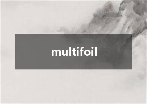multifoil是什么意思