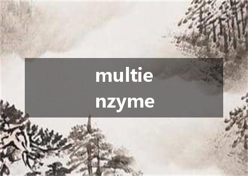 multienzyme是什么意思