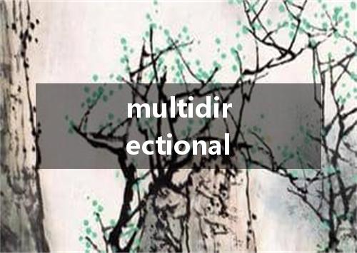 multidirectional是什么意思
