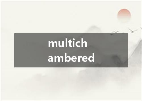 multichambered是什么意思