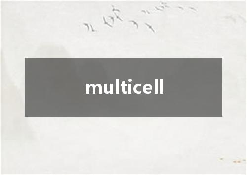 multicell是什么意思