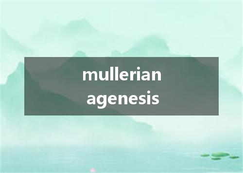 mullerian agenesis是什么意思