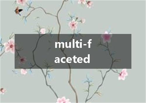 multi-faceted是什么意思