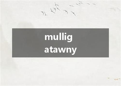 mulligatawny是什么意思