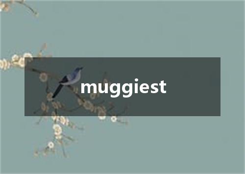 muggiest是什么意思