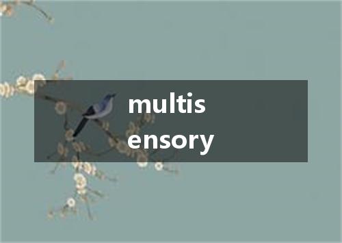 multisensory是什么意思