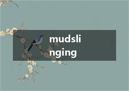 mudslinging是什么意思