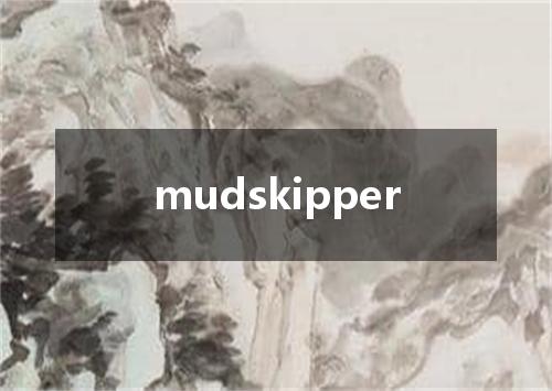 mudskipper是什么意思