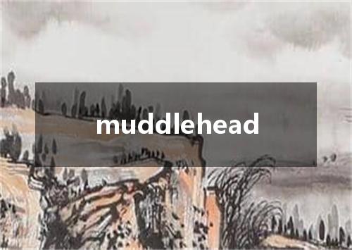muddlehead是什么意思