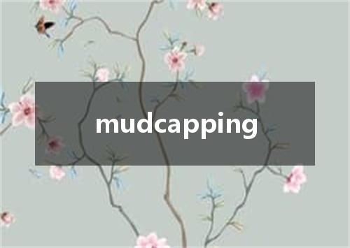 mudcapping是什么意思