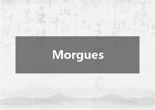 Morgues是什么意思