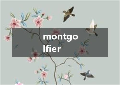 montgolfier是什么意思