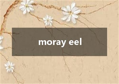 moray eel是什么意思