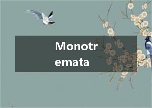 Monotremata是什么意思