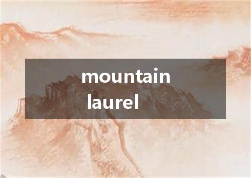 mountain laurel是什么意思