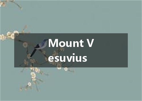 Mount Vesuvius是什么意思