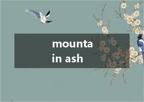 mountain ash是什么意思