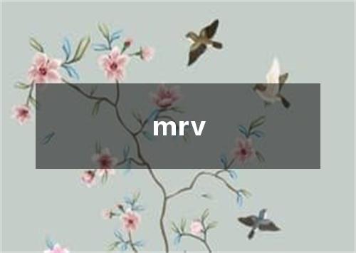 mrv是什么意思