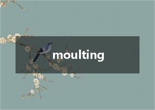 moulting是什么意思
