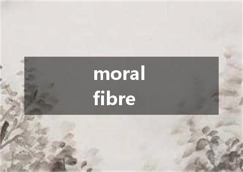 moral fibre是什么意思