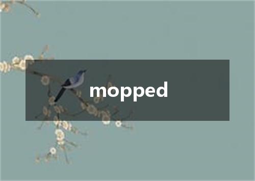 mopped是什么意思