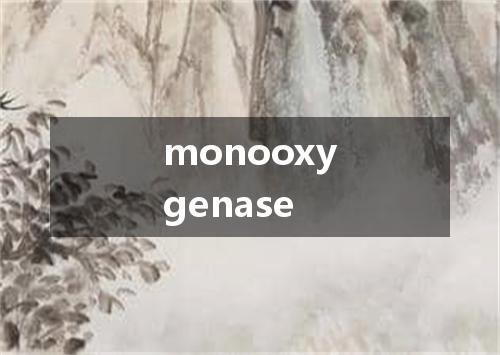 monooxygenase是什么意思