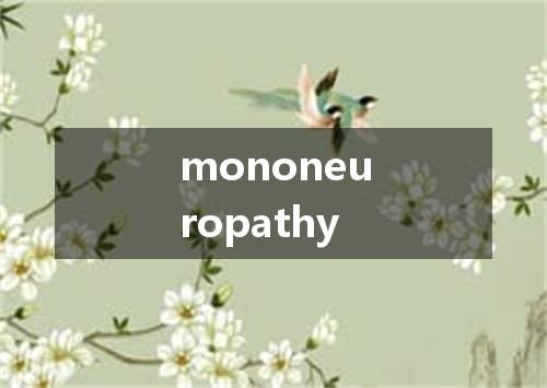 mononeuropathy是什么意思