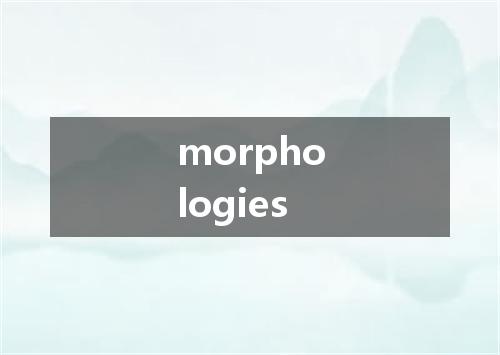 morphologies是什么意思