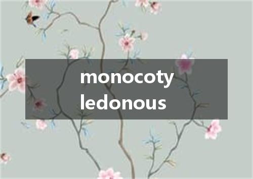 monocotyledonous是什么意思