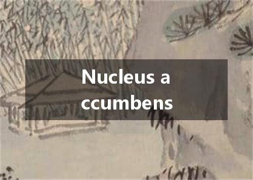 Nucleus accumbens是什么意思
