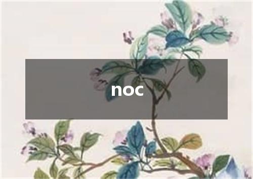 noc是什么意思